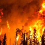 European Forest Fire report: Three of the worst fire seasons on record took place in the last six years